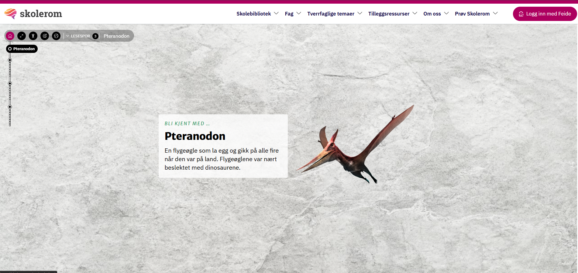 Background image layer 1