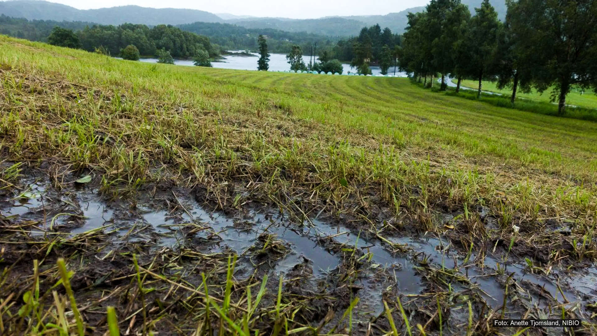 Innsatsområde 2 – Redusere arealavrenning fra landbruket