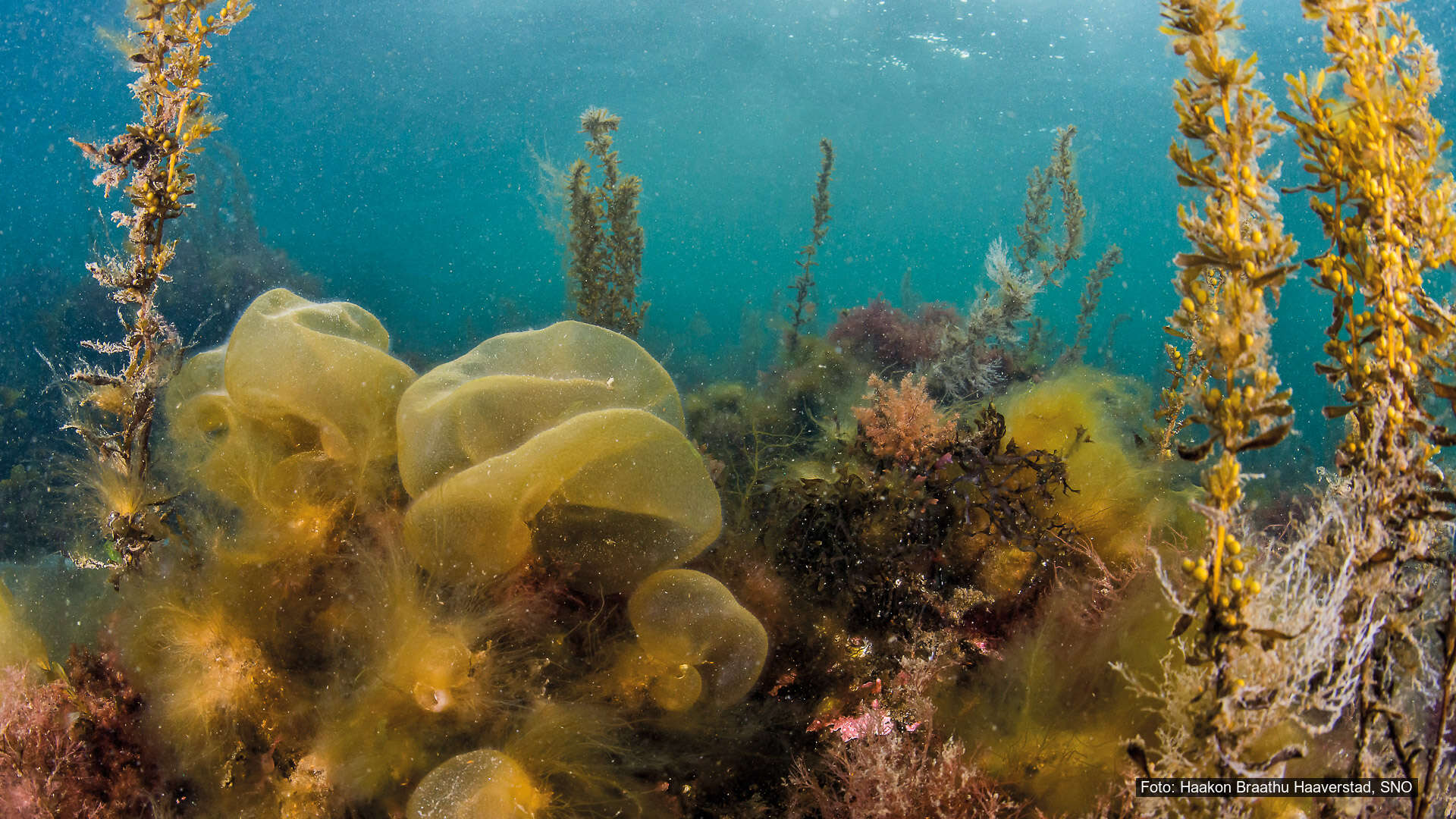 Testing numero 2 creado