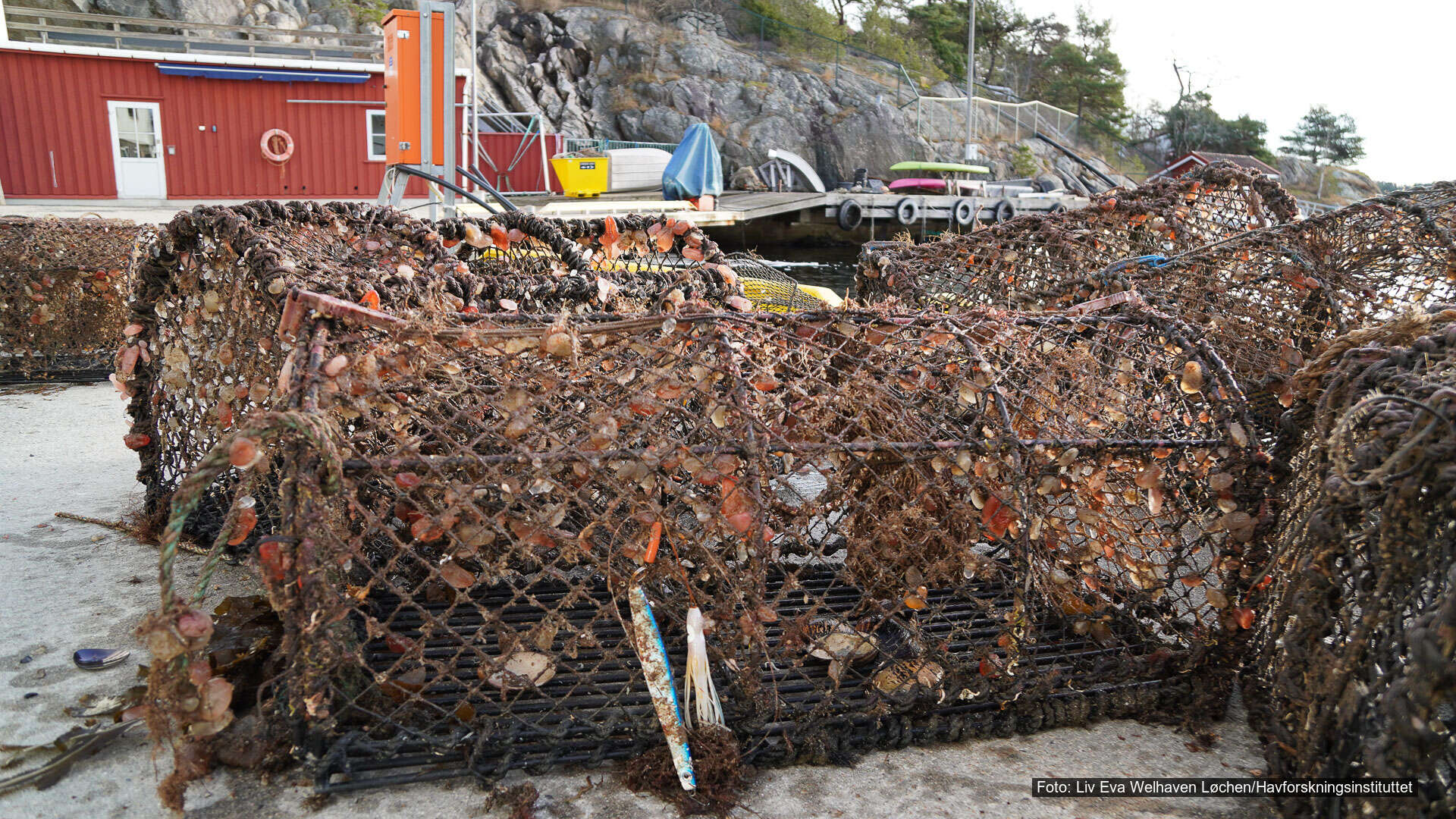 T19-Intensivere arbeidet mot tapte redskaper