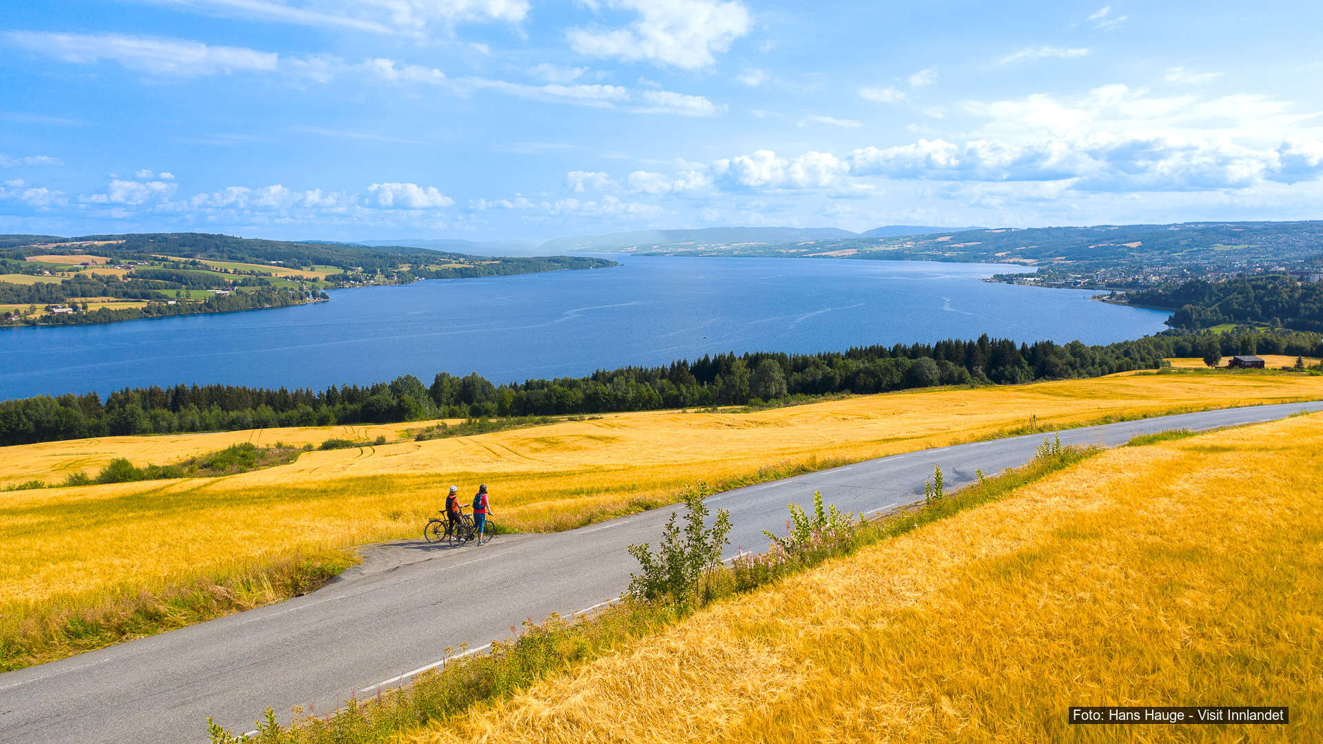 [Test] Cover Should Be Centered