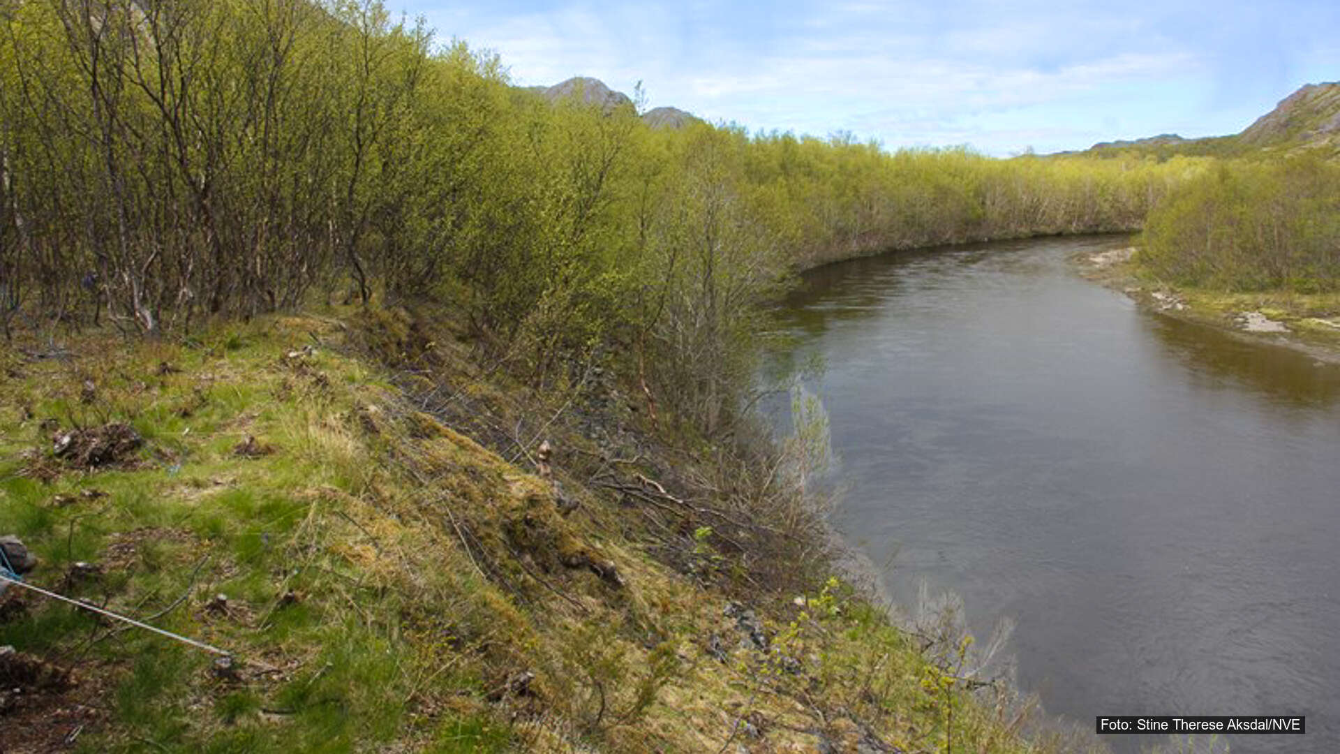 T12 – Økt håndheving av vannressursloven