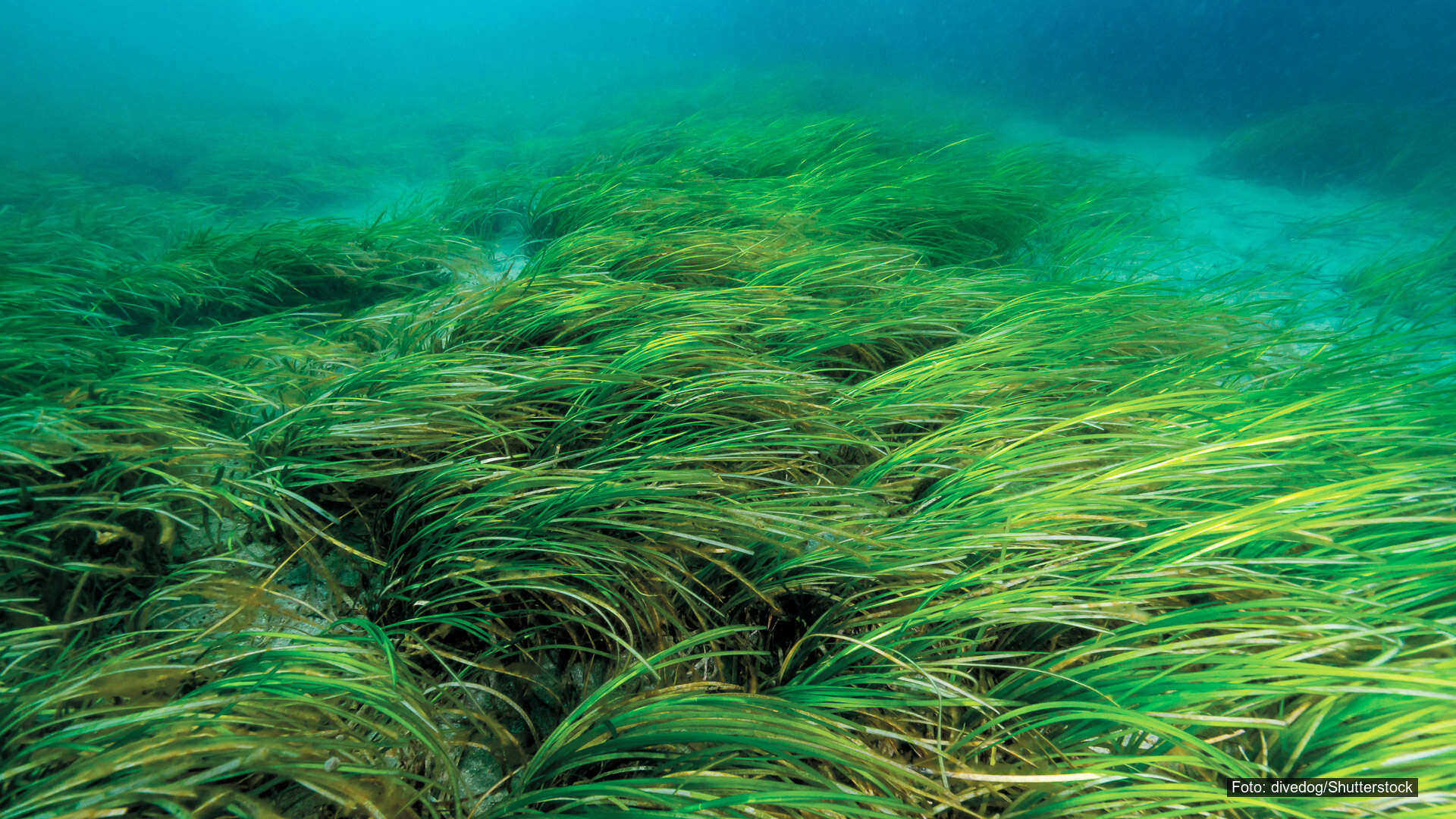 Background image layer 1