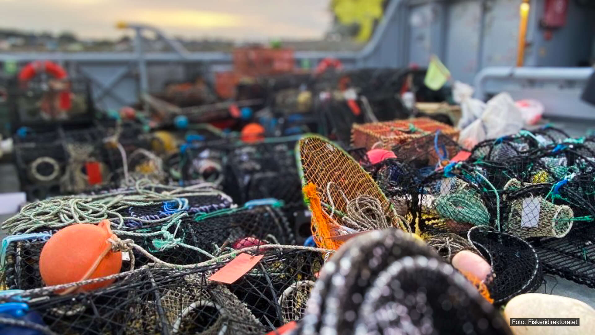 T23-Effektivisere kontroller i fjorden